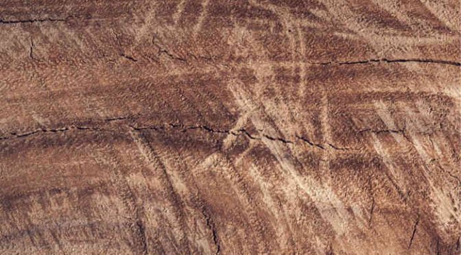 Are Tool Marks Desirable in Wood Carving?