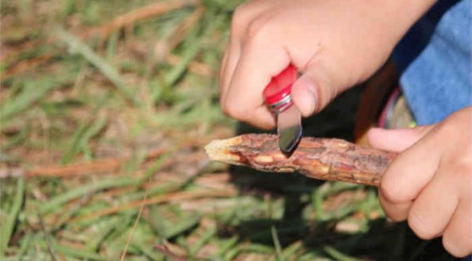 The Truth About Whittling And The Whittling Knife